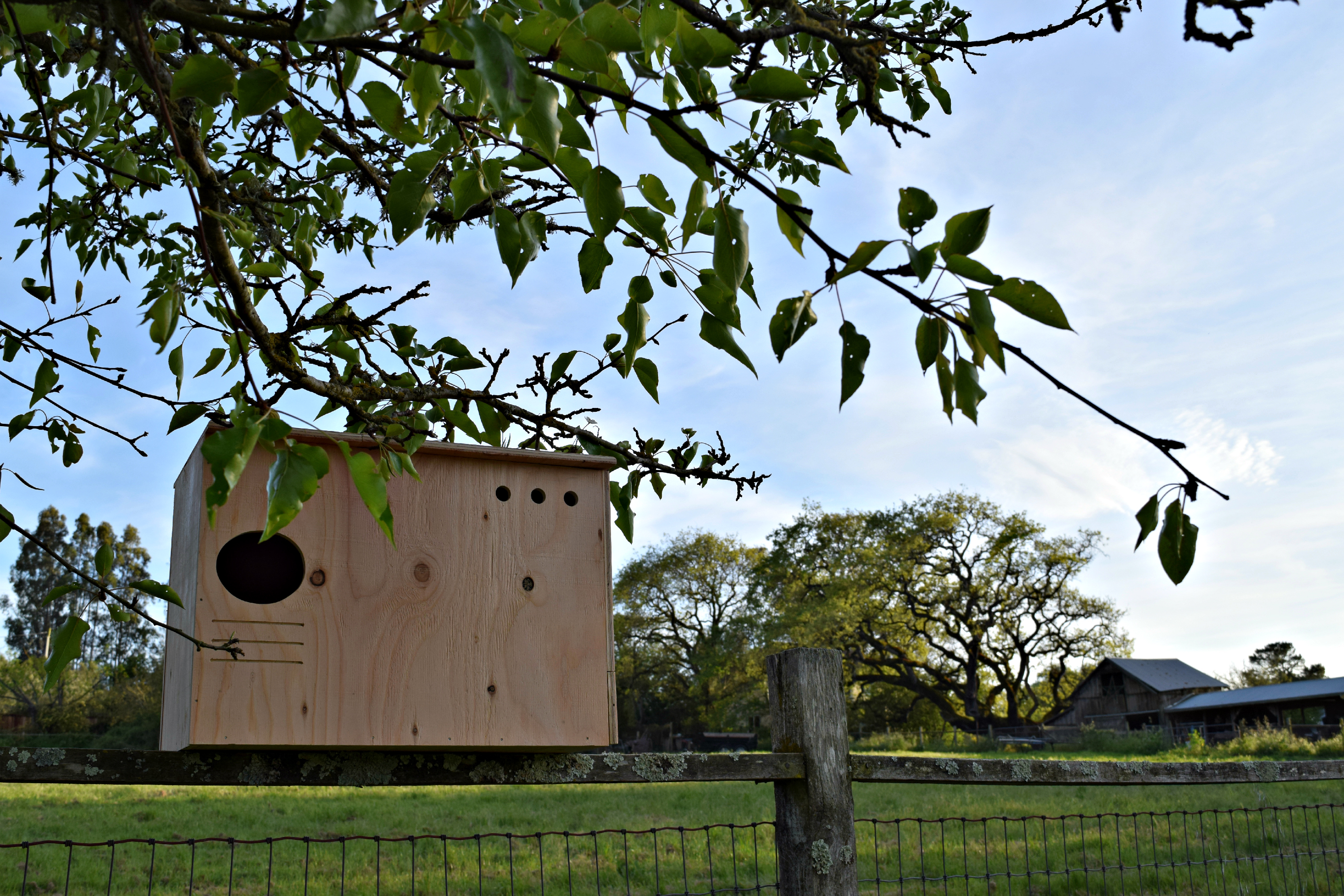 The Owl Abode owl box kit